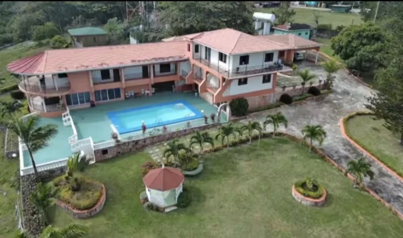 Mangoville events setting